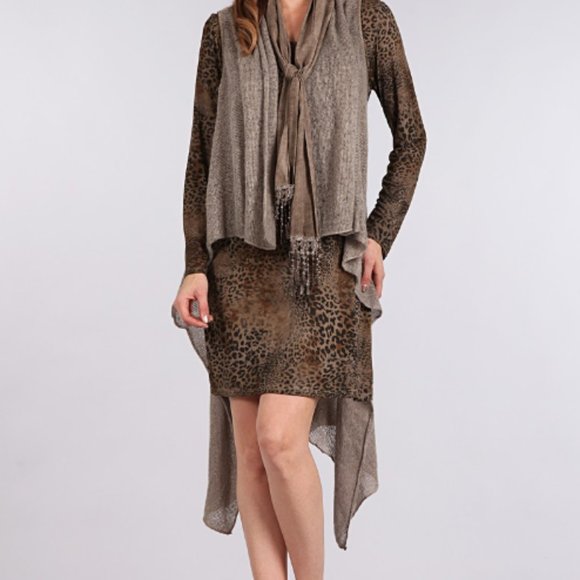 Animal Print Long Sleeve Short Dress - Picture 1 of 4